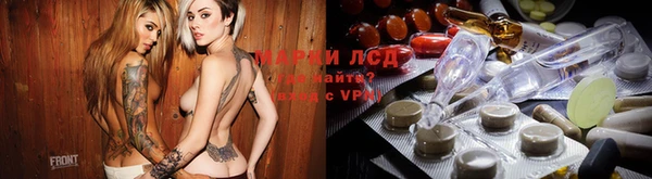 прущие грибы Алексеевка